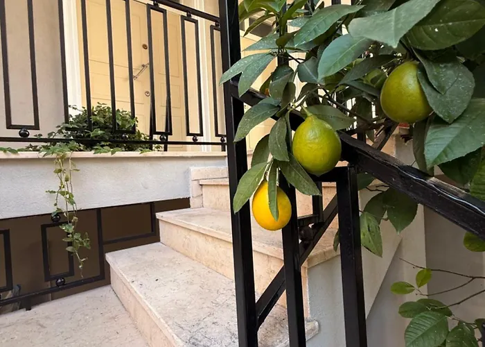 Daire Center Oasis Tiran